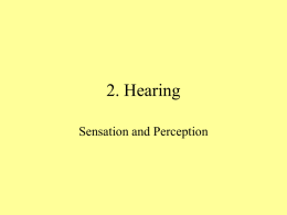 2. Hearing - Windsor C