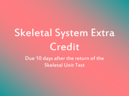 Skeletal System Extra Credit