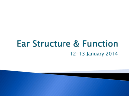 Ear Structure & Function