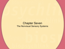 The Nonvisual Sensory Systems