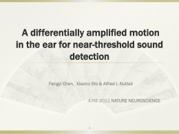 A differentially amplified motion in the ear for near