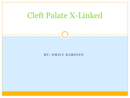 Cleft Palate X-Linked