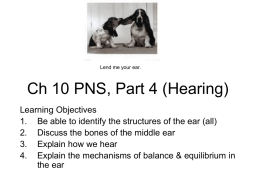 Ch 13 PNS, Part III (Hearing)