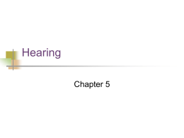 PowerPoint Presentation - MUSTH 125: Hearing (Chapter 5)
