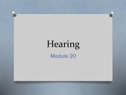 Hearing - Moline High School