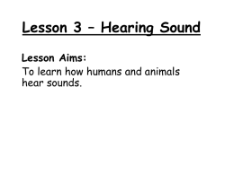 Lesson 3 Hearing Sound
