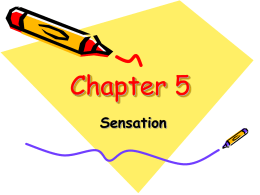 File chapter 5 vocab pp
