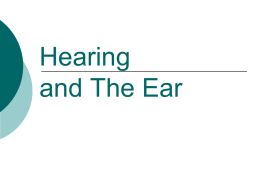 Ear Power point