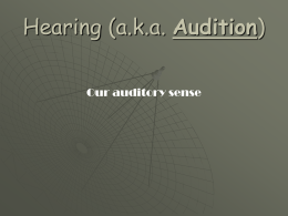 Ear Structure - Auditory Processes
