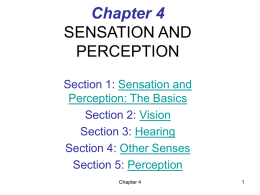 CHAPTER 4 SENSATION AND PERCEPTION