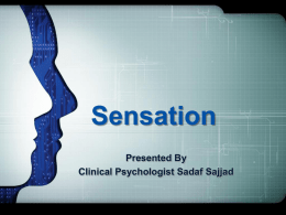 Sensation presentation