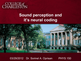 Neural Encoding Talk