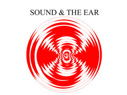 09 Sound And The Ear