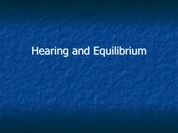 Ear and hearing notes