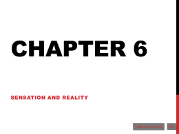 Chapter 5: Sensation and Reality