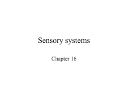 Sensory_systems
