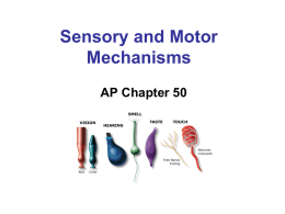 AP Chap 50 Sensory Perception