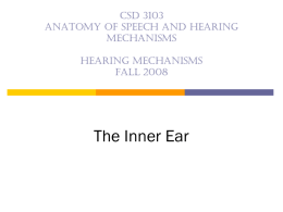 CSD 3103/FALL 2002 ANATOMY OF SPEECH AND HEARING