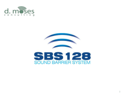 SBS-128 - D. Moses Consulting