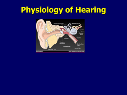 Physiology of Hearing