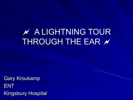 flash gordon`s lightning tour through the ear