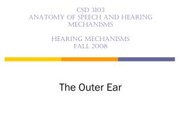 The Outer Ear