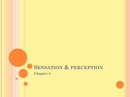 chapter 4 sensation and perception