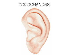 PowerPoint-Ear - Living Stones