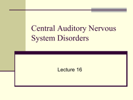 Auditory Nerve Disorders and Central Auditory Pathways