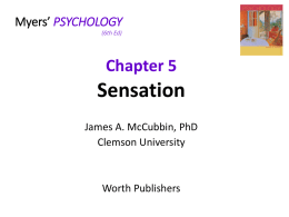 Chapter 5 Sensation - Mercer Island School District