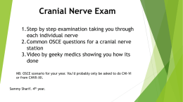 Cranial Nerve Exam