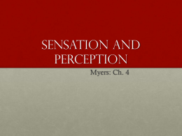 Introduction to Sensation and Perception