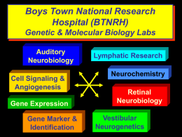 Boys Town National Research Hospital (BTNRH)