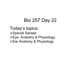 Bio 257 Day 22