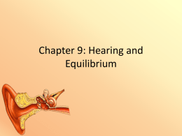 2013 Chapter 9: Hearing and Equilibrium