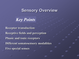 Chapter 10: Sensory Physiology