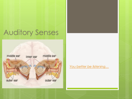 Auditory Senses