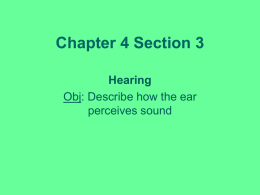 Conductive Deafness