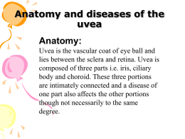 Anatomy and diseases of the uvea