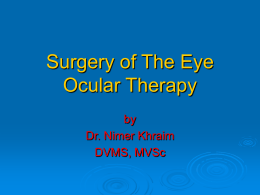Surgery of The Eye Ocular Therapy