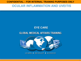 Excerpt-from-Uveitis-Medical-Affairs-training-slide-deck-1