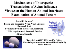 Inter-Species Transmission and the Animal Human Interface