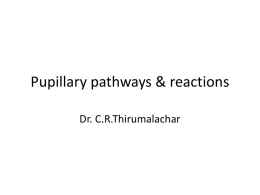Pupillary pathways & reactions