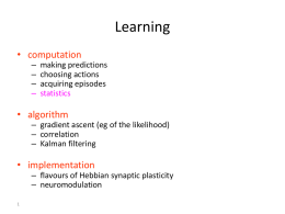 Learning and Meta-learning - University College London