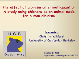 PowerPoint Presentation - The effect of albinism on