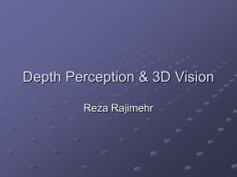 Depth Perception - School of Cognitive Sciences