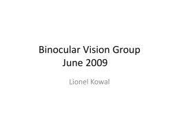 Binocular Vision Group June 2009