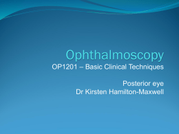 Ophthalmoscopy - Optometry Peer Tutoring