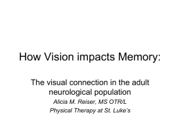 How Vision impacts Memory: