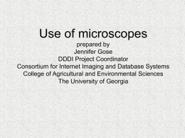 Capturing Microscope Images (continued)